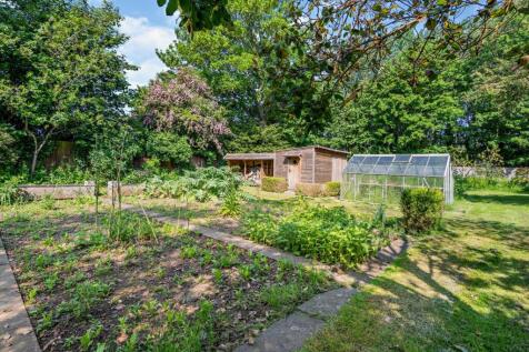 Vegetable Garden