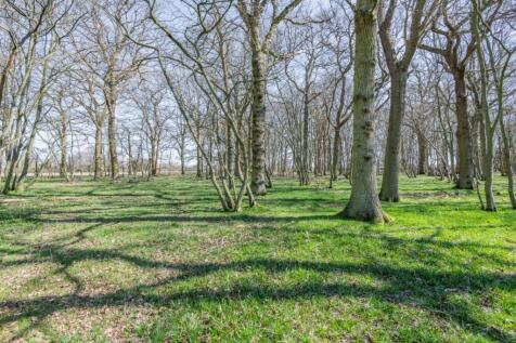 Grounds