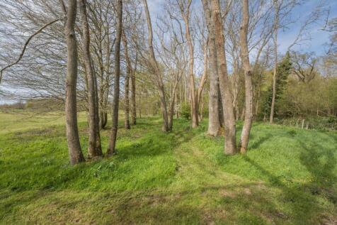 Woodland