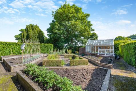 Vegetable Garden