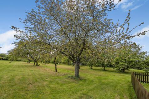 Grounds