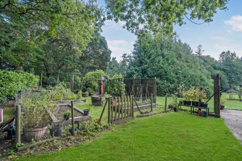 Vegetable Garden