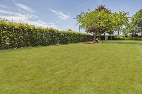 Grounds