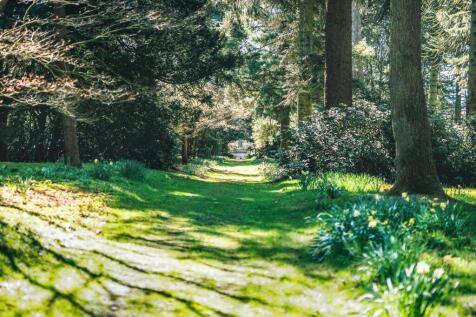 Pinetum