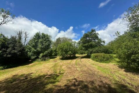 Picnic Meadow