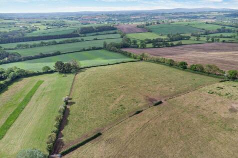 Field
