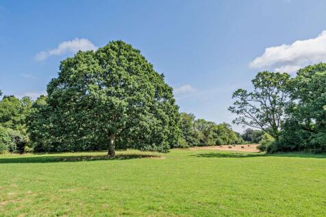 Grounds