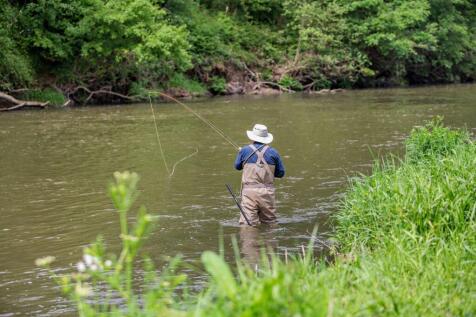 The Fishing