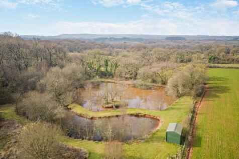 Pond
