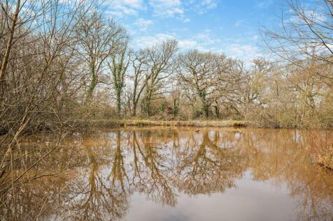 Pond