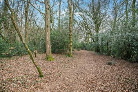 Woodland
