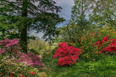 Grounds