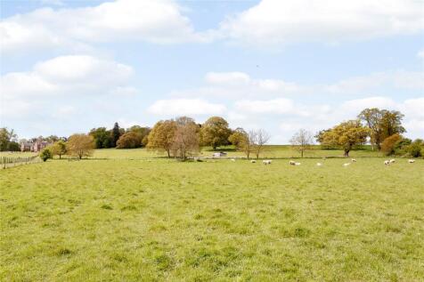 The Paddock