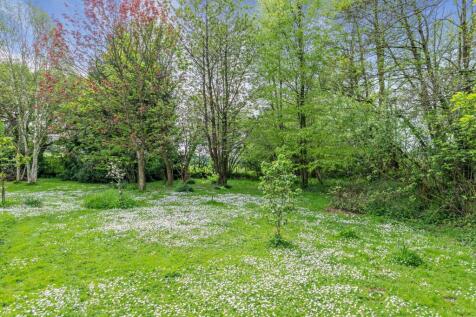 Grounds