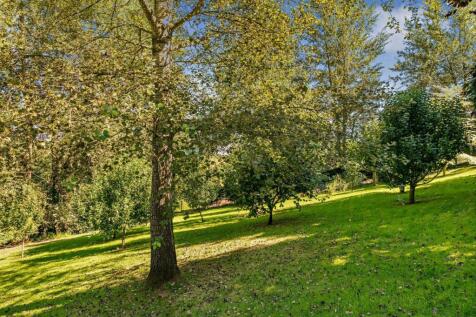 Orchard
