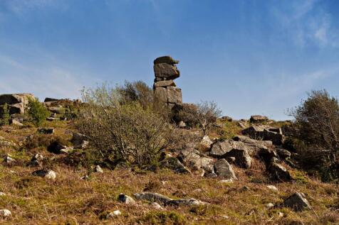 Bowerman&#39;s Nose