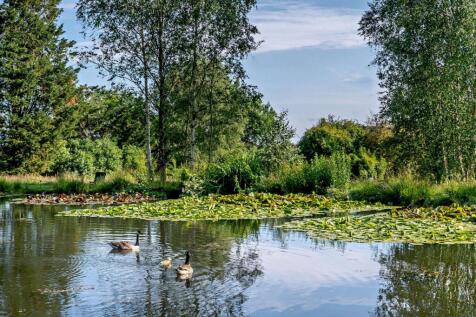 Pond