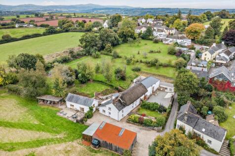 Town Living Farm