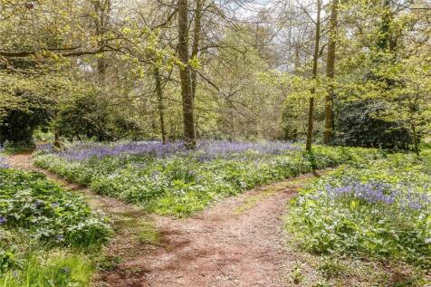 The Woodland
