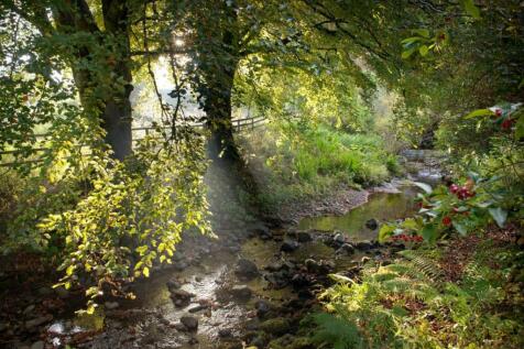 River Access