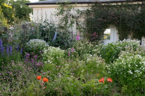 Flowering Beds