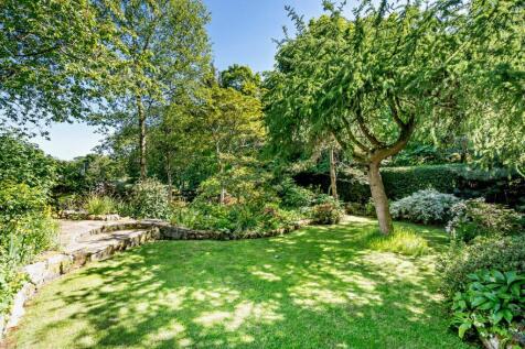 Trees &amp; Shrubs