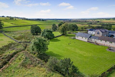 Garden Or Paddock