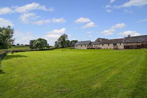 View Of The Steading