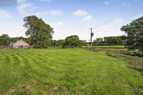 Meadow/Paddock