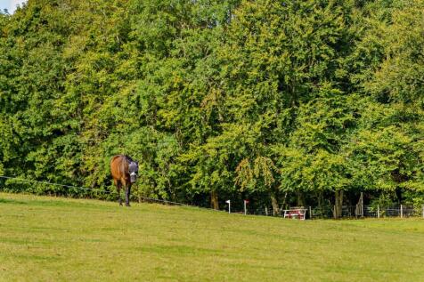 Paddock