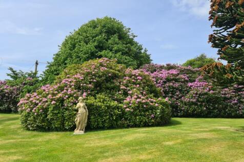 Ample Gardens