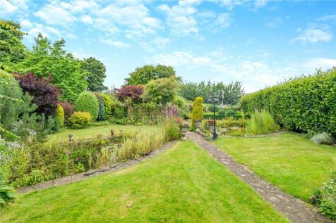 Wildlife Pond