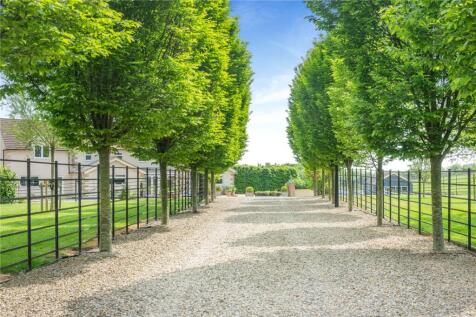 Tree Lined Driveway