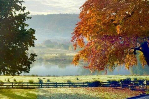 Lake Views
