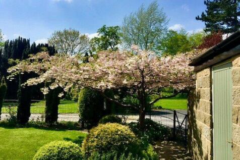 Summer Garden