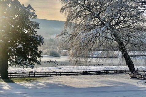 Winter Garden