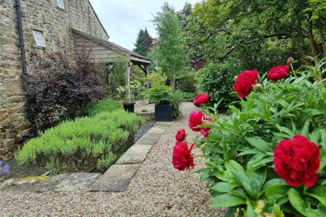 Garden In Summer