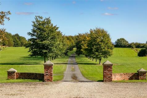 Tree Lined Driveway