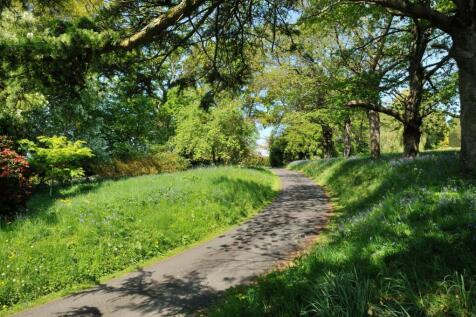 Grounds