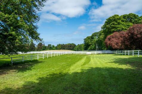 Paddocks