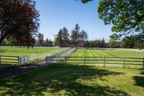 Paddocks