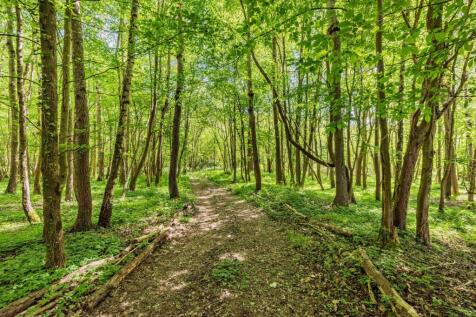 Woodland