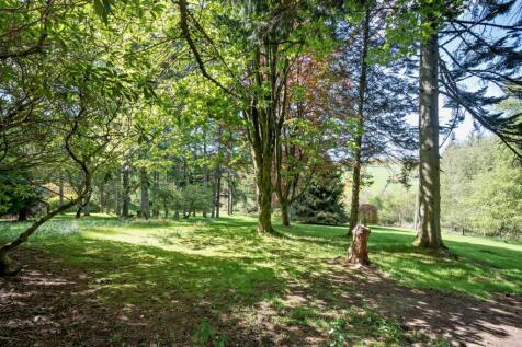 Expansive Grounds