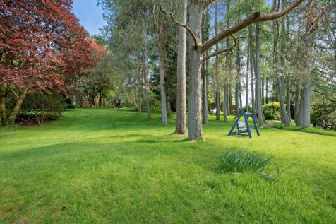 Expansive Grounds