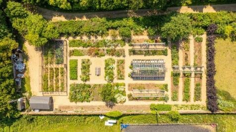 Lot 3 - Garden