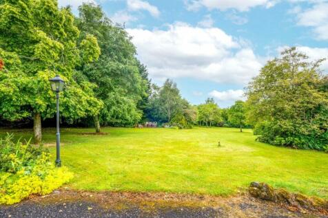 Property Image 38