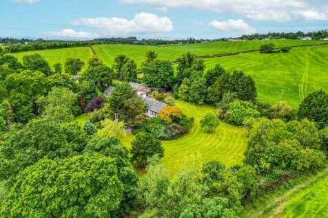Property Image 54