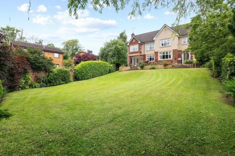 Property Image 31
