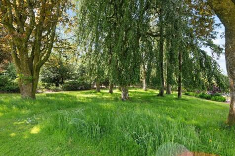 Property Image 54