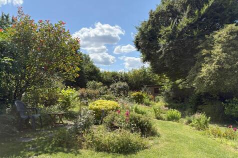 Garden (in July)